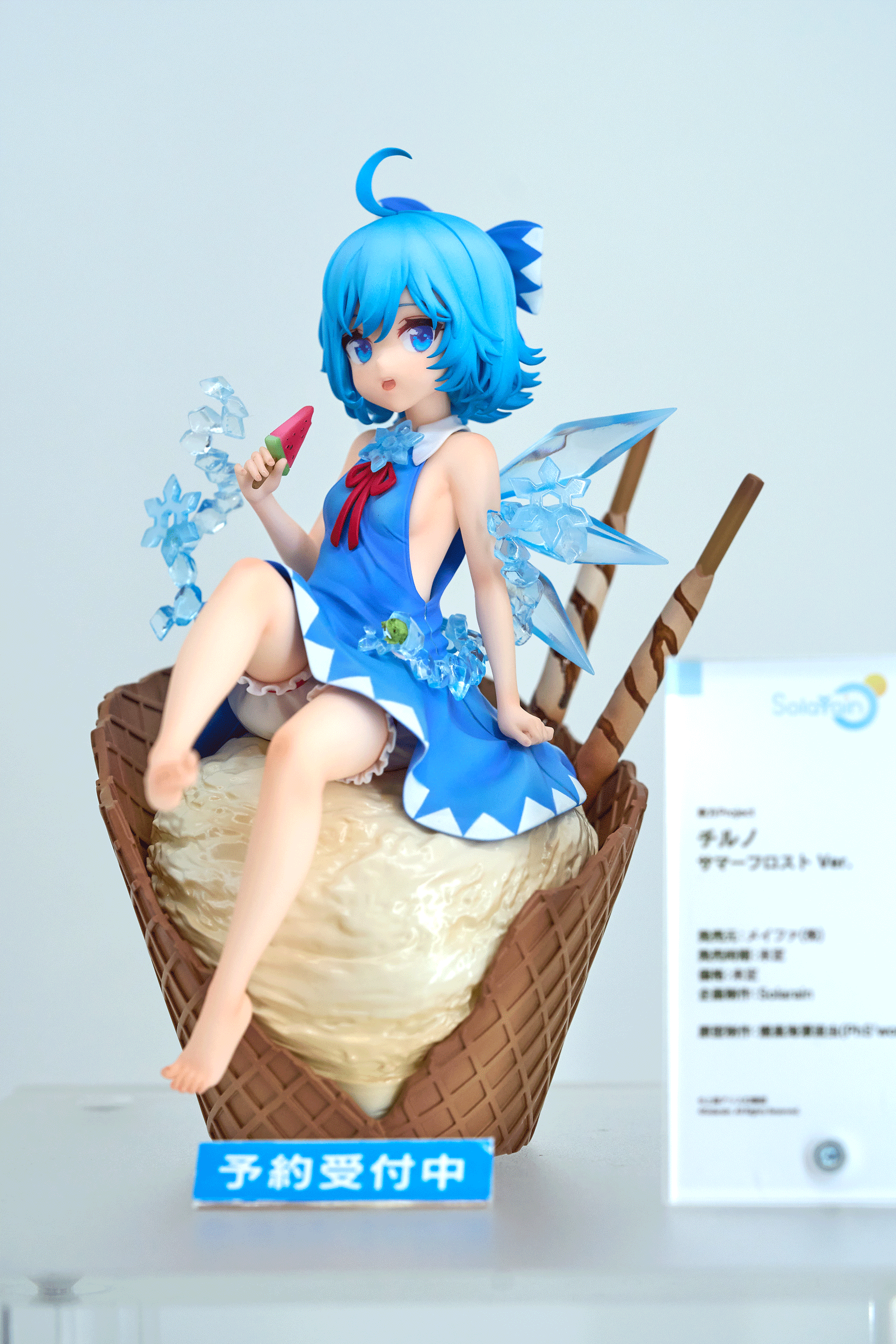 DSC09250.gif