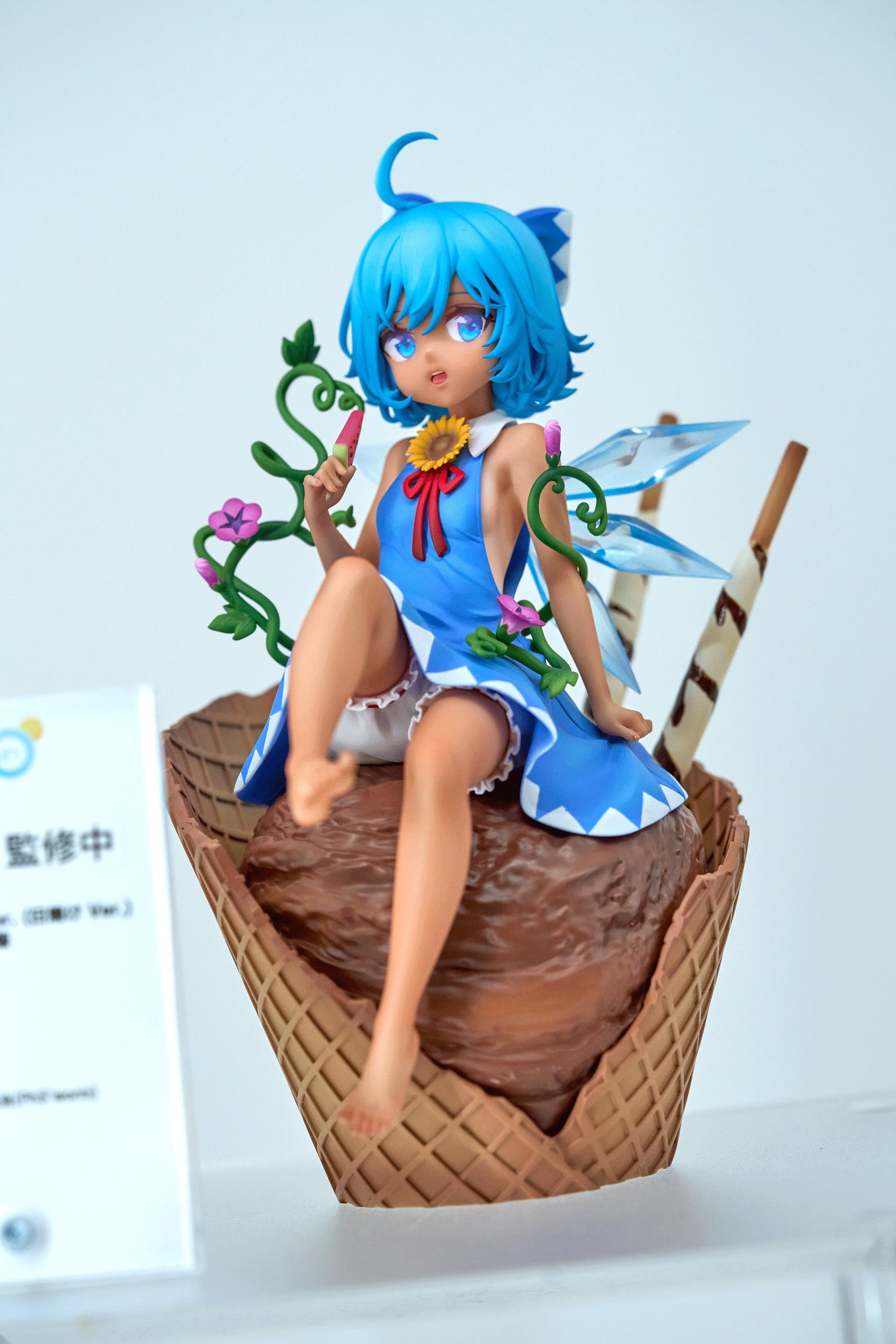 DSC09252.gif